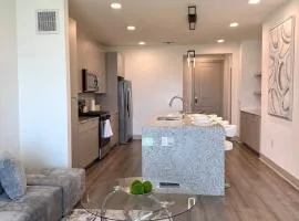 Sleek Modern Oasis in the Heights