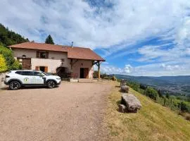 Ferme Vosgienne Rénovée avec Confort et Nature pour 7 Pers, WiFi, Animaux Bienvenus - FR-1-589-190