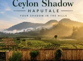 Ceylon shadow