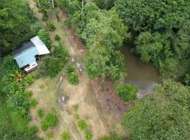 FINCA La PAZ - Jungle Retreat - Best Wildlife Spot in Sarapiqui