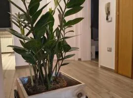 MaGi-A apartment