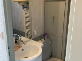 Apartment With Balcony In Gérardmer