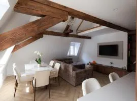 Loft duplex 2ch Cœur historique de Belfort