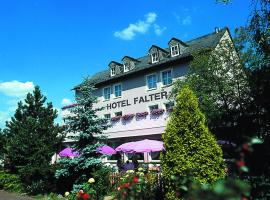 Hotel Falter, готель у місті Гоф