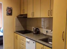 Forest Soul Apartment