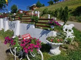 Pensiunea Cabana Viselor ,Apuseni