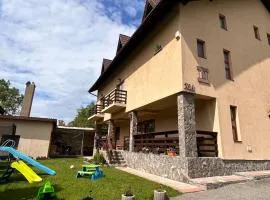 Vila dintre Brazi