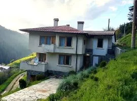 The House