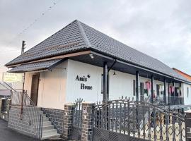 Săpînţa में, होटल Ami's Home