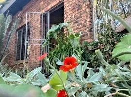 Gorgeous Gecko Guesthouse