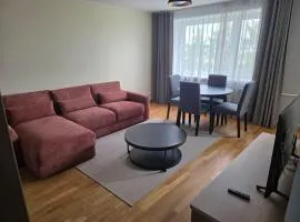 Külaliskorter Aardla tn 120