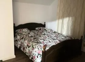 Casa Horeb Apuseni