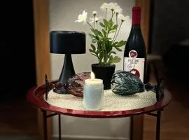 Kitesa's cozy apartment with two bedrooms