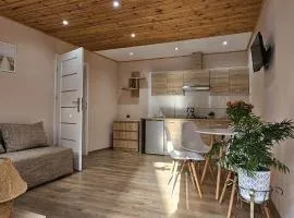 Mewa Apartamenty i Pokoje
