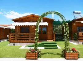 Kandia Woodlands