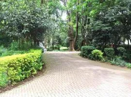 SKC Flat, Kilimani Area