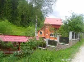 Paradisul Verde din Apuseni