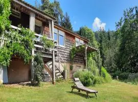 Chalet in Raon-l'Étape near Lake