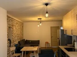 Apartment in the center of Grenoble - mountain view