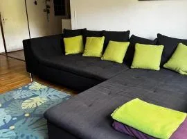 Elbeglück- familienfreundliches Ferienhaus