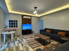 شقه خاصه