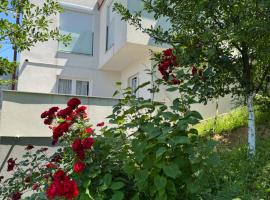 Villa Sunny Alley - Sunčani Sokak, hotel sa Sarajevo