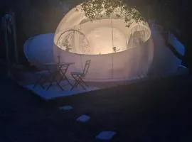Bulle et jacuzzi privés sous les étoiles