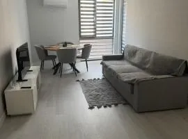 Modern Apartment Constanța