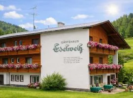 Gästehaus -Pension Edelweiss