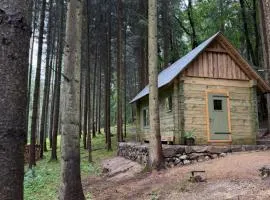 Glamping Olivie v lese