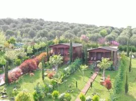 Wooden Luxury Villas