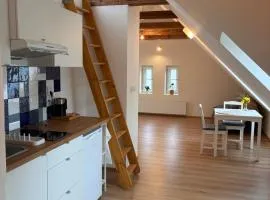 Apartmán v domě se zahradou