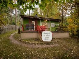 Waldidyll - Ruhe mitten im Wald