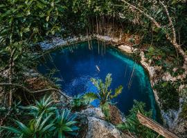 Hotel Boutique Cenote Secreto Maya，Yaxché的飯店