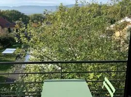 View Geneva Lake, private residence, swimming pool