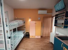 Apartment Celje