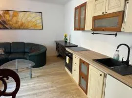 Apartman Izolana