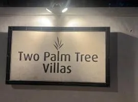 one palm tree villas