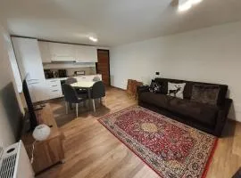 Deluxe double studio apartment in a historic house