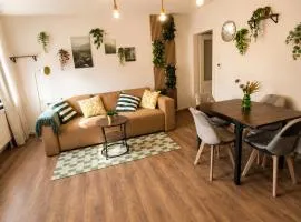 Urban Jungle über den Dächern für 5 Personen