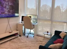 Executive 2 bed luxury Suit