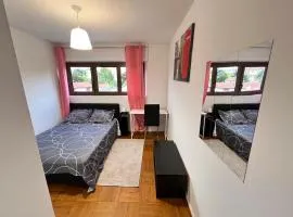 Cozy and spacious entire place