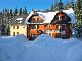 Hotel Anenský mlýn, hotel v destinaci Říčky
