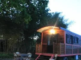 roulotte de charme avec jacuzzi privé