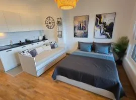 Fruške Residences - Fruške Terme Studio 121