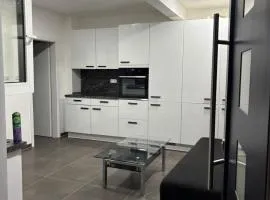 Stylish newly renovated studio apartment Frankfurt