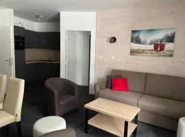 Gourette - Appartement 8 pers, 58m², piscine, animaux admis - FR-1-860-12
