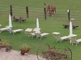 Ranch Borgo Bellavita