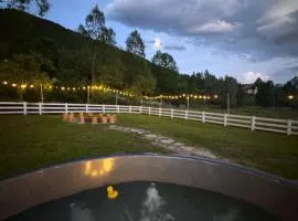 Cabana Gala Doftanei