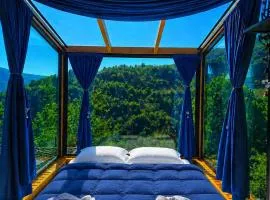 Hill House Merisi